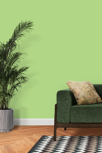 beger ice064-5 Favorite Plantขนาด 30-35 ตรม product_other1_image