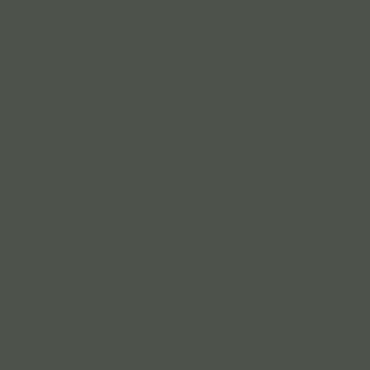 Beger Ice149-6 Caeolina Pinesขนาด 175-180 ตรม product_display_image