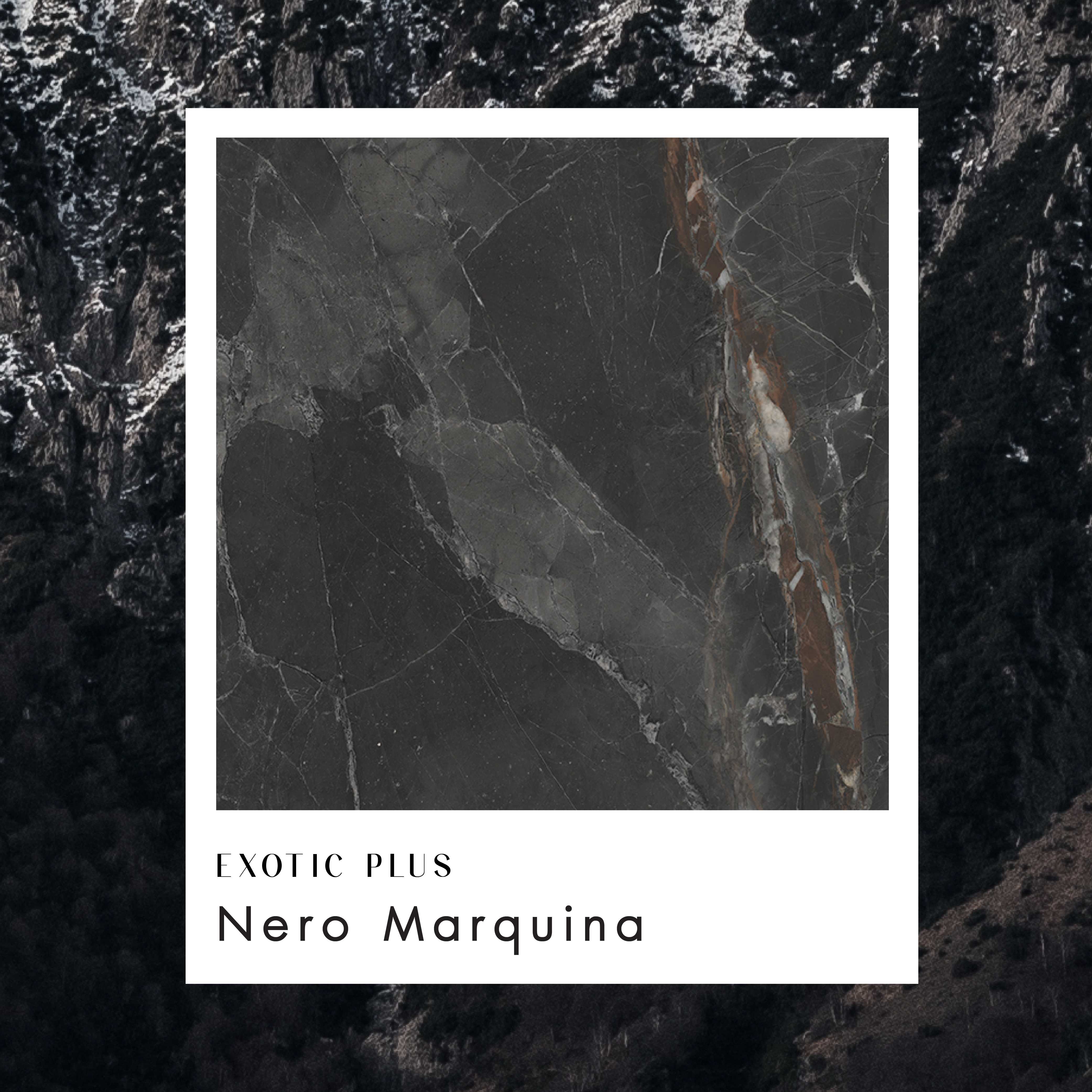 แผ่นลามิเนต Exotic Plus สี Nero Marquina Type A ผิวเงา product_other2_image